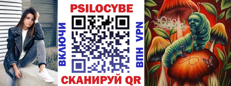 где купить   Нефтегорск  Псилоцибиновые грибы мицелий 